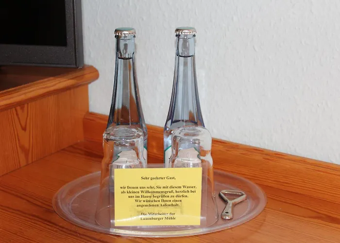 Lauenburger Muehle فندق 3*